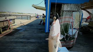 NEW PB First Time Fishing Tybee Island Pier AND Meetup With Fellow YouTuber