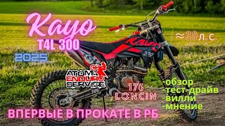 видео: Возвращение легенды. KAYO T4 (T4L) 300 2025. Loncin 176 картинка: Возвращение легенды. KAYO T4 (T4L) 300 2025. Loncin 176