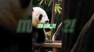 Gokil,,! Ada aja tingkah lucunya si panda🐼 #ai #aivideo #funny #edit #shortslucu #dimensiai