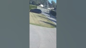 Businessman narrowly survives gunman