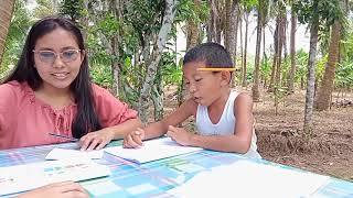 Mathematics in the New Normal of the Elementary Grades: A Message - Math Mapadali Advocacy Vlog 4