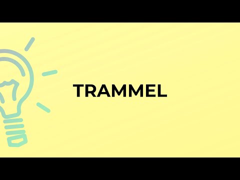 Video: Qual è il significato di trammer?