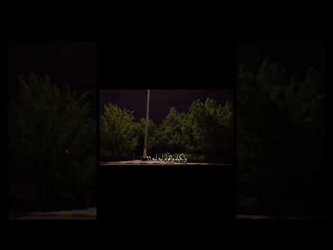 يهزمني هو مرة وابكيله واقوله ليه ليهه اكسبلور اقتباسات عبارات لايك فولو ستوريات 