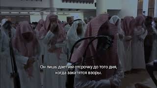 Сура: Ибрахим 35-52 аяты / Мухаммад аль люхайдан.      #Коран #напоминание #quran #чтениекорана