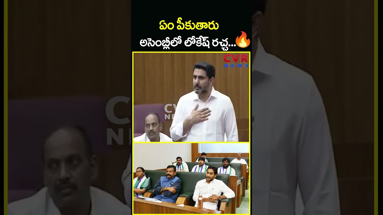 ఏం పీకుతారు అసెంబ్లీలో లోకేష్ రచ్చ...🔥🔥| Nara Lokesh Fire Assembly | CVR News