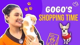 Shopping For My Dog - Gogo | Yuvika Chaudhary Vlogs