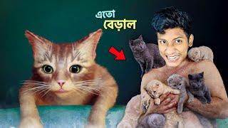 Pro Cat | Stray Ep1 - The Bangla Gamer