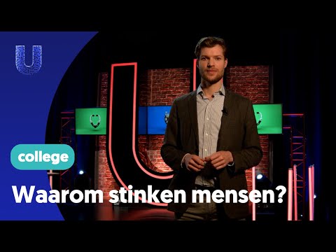 Video: Waarom stinkt neopreen?
