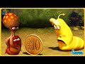 Larva full episode 2024: lucky coin | Funny Clips | Best Cartoons of 2024