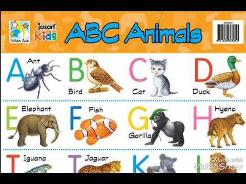 abcd alphabetical chart with photos video youtube abcd chart