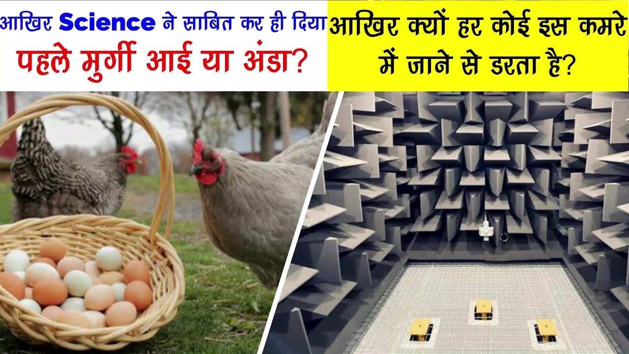 Science ने साबित कर दिया पहले मुर्गी आई या अंडा ? Top 18 Facts in Hindi | Deciwer