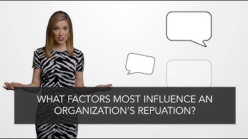 What Factors Influence an Organization