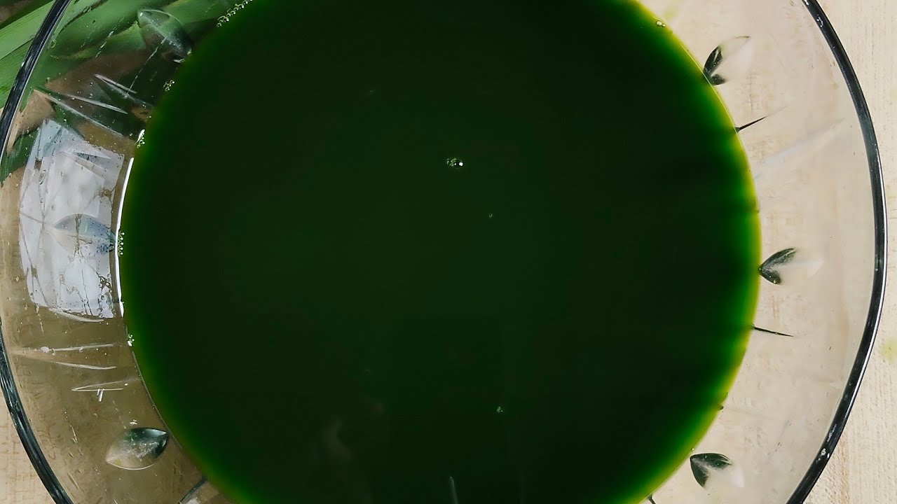 วิธีทำน้ำใบเตยไม่ให้ขมเหม็นเขียว ทำน้ำใบเตยเข้มข้นสีเข้มสวยน่าทาน