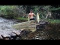 Primitive Technology: Big Fish Trap in The Forest