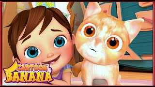 Танцевальная Вечеринка Kitty Cat - Детские Песни - Детские Стишки И Песни Для Детей