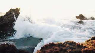 Serene Study Vibes Calming Meditation Music for Focus & Clarity