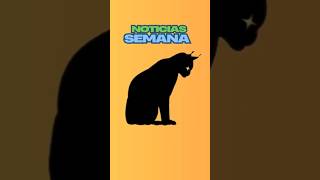 Notiicas para Linces (13 enero 2026)