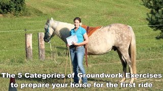 5 Categories of Groundwork Exercises to Prepare a Young Horse for a Stressfree First Ride
