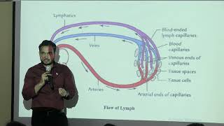 Lecture on Lymphatic System Histology: Lymph Node, Spleen &amp; Thymus Explained | MBBS | TSMC