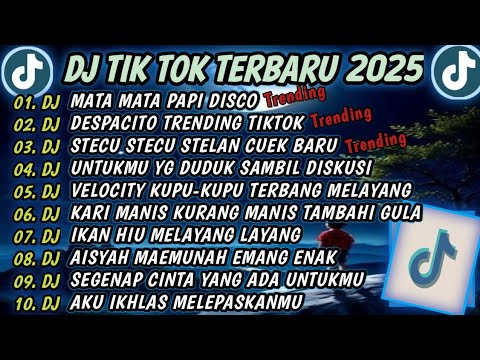 DJ MATA MATA PAPI DISCO X DESPACITO X STECU STELAN CUEK BARU 🎵DJ TIKTOK TERBARU 2025 FULL BASS