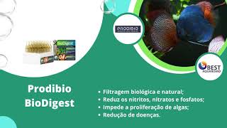 Prodibio BioDigest