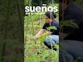 Sueños que se cumplen - Fundación Grupo Bios