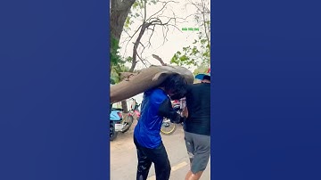 Cá Lớn - người dân bắt được con cá Khổng Lồ 😱 #khacthuyvlogg