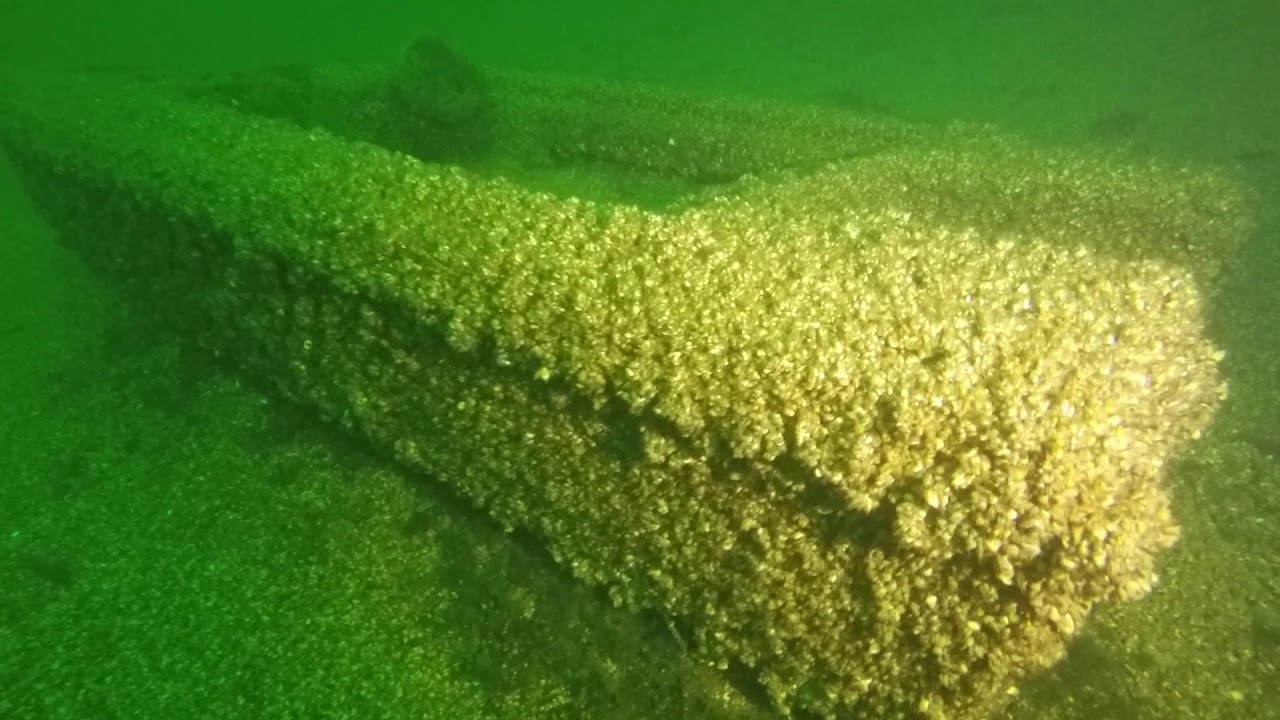 Suba Fall Seneca Lake SCUBA fall 2017 Coal Point - YouTube