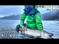 【支笏湖ブラウン８０㎝】これが支笏湖のポテンシャル