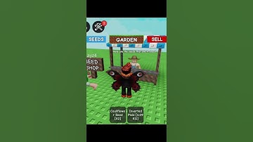 New Loquat seed in daily stock🤑🤑