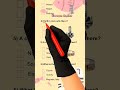 magnets and force quiz questions trivia #magnets #force #info #trivia