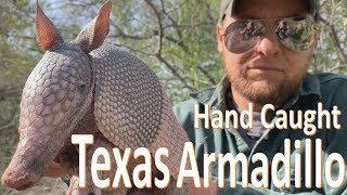 TEXAS Armadillo 9 banded Hand Caught