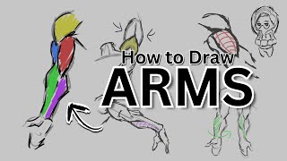 How to Draw Arms | Tutorial | Figure Drawing
