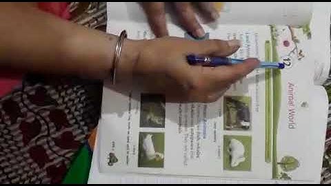 Class 1: EVS Chapter 12 (Animal World) Explanation