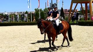 Horses -Showjumping - Pezinok 18. 6. 2016