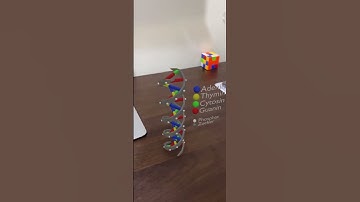 AR Code for Education via an Augmented Reality QR Code | ar-code.com