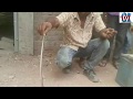 How to catch Snake? Now see this video - Part 3