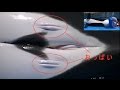 シャチの授乳 & シャチのこんにちは / 名古屋港水族館