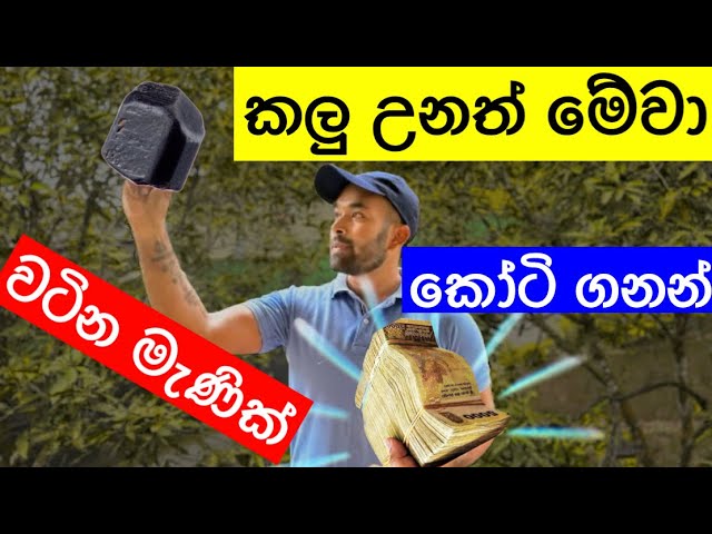 කලු පාට ගල් විසි කරන්න කලින් බලන්න කෝටි ගානක් විසිකලේ වෙන්න පුලුවන්