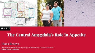 The Central Amygdala