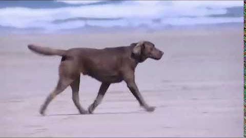 New Headway Intermediate 4th Edition Unit 02 Saving life at sea