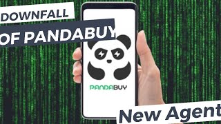 Down Fall Of Pandabuy Huge Data Leak