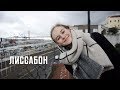 Рынок ресторанов, нет денег и мост в Лиссабоне | Karolina K