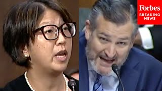 'Is It True That No One Is Walking Across The Border And Crossing Illegally?': Cruz Grills Biden Nom