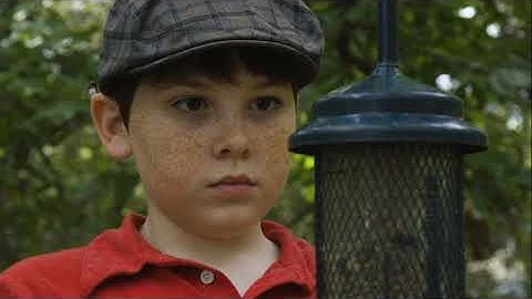 Vic3001 Module 3 activity