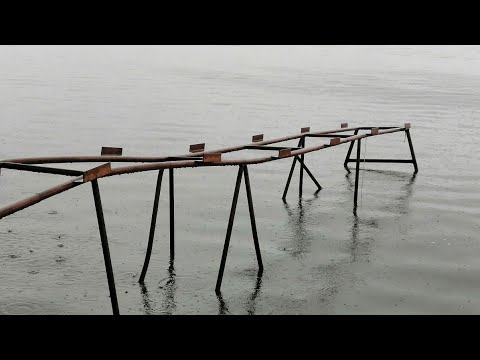 Видео: Интеграция традиционной медицины коренных народов и западной биомедицины в системы здравоохранения: обзор политики здравоохранения Никарагуа и служб здравоохранения мискиту