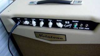 Nolatone 22 Tango Amplifier Demo By Bobby Devito In Key West