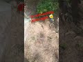 I'm not touching grass again