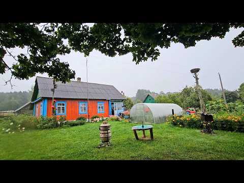 Moved from the city to the countryside—here’s what happened! Life on the land: we grew 21 varieti...
