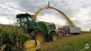 Corn Silage 2021 at Convoy Dairy